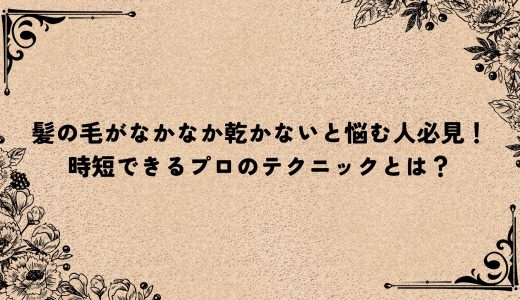 髪の毛がなかなか乾かないと悩む人必見！時短できるプロのテクニックとは？